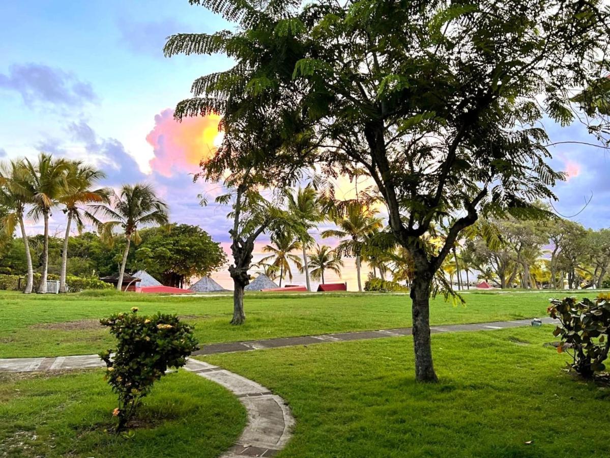 La Perle Des Caraibes Apartment Sainte-Anne  Exterior photo